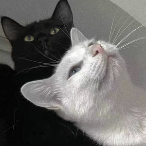 原神🔞同人漫画
